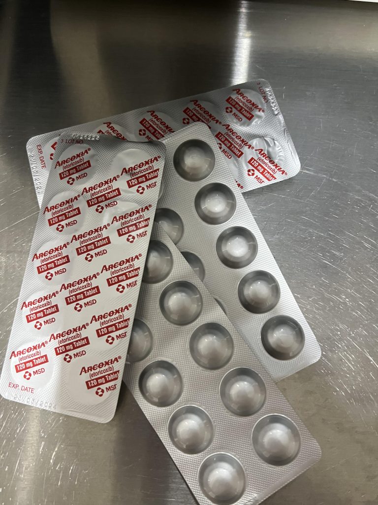 Image #1 from Josephine Chua