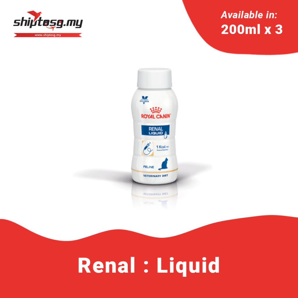 royal canin renal pour chat