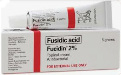 Image #1 from Tommy Yap